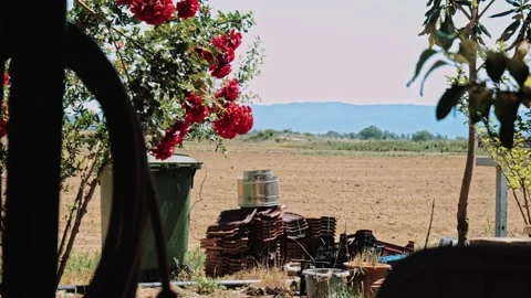 AGRICALTURAL LIFE THINGS TOOLS RED ROSES  IN COURTYARD Video stock 281950207