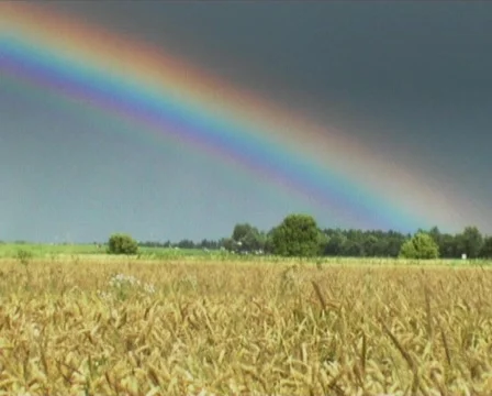 Agricultiure Stock-Footage 88661