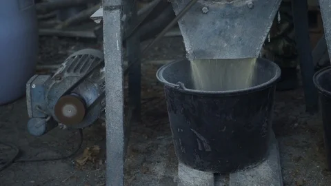 Agricultural activity. Vintage. 動画素材 119825341