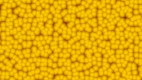 Agricultural Background-Abstract Corn Kernels-Animation Stock Footage 102875826