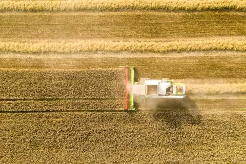 Agricultural background Stock Photos