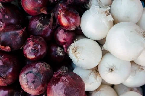 Agricultural background, a pile of beautiful bulb onions. Red vs. white onion Stock Photos