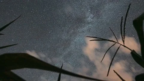 Agricultural Background Time Lapse, TimeLapse, Time-Lapse Night Starry Sky With 動画素材 219915394