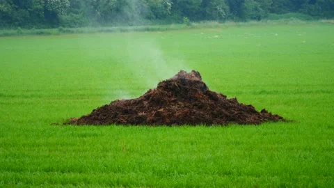 Agricultural biomass Stock Footage 130375882