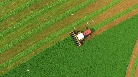 Agricultural Combine Harvesting Crop in Farm Field Stock Footage