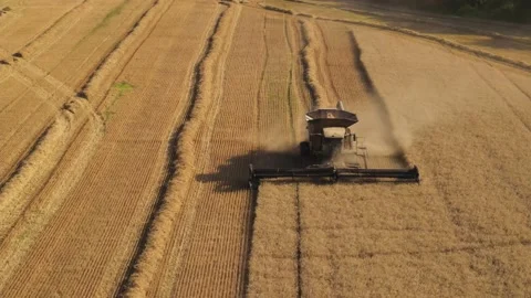Agricultural Combine Harvesting Crop In Farm Field Stock Footage