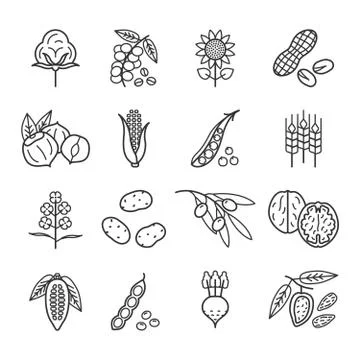 Agricultural commodities of vegetable origin linear icons set Stock Illustration