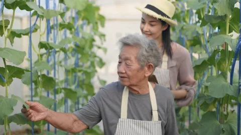 Agricultural concept of 4k Resolution. An old woman is teaching gardening t.. Stock Footage 237626760