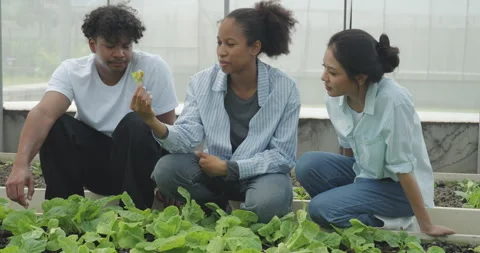 Agricultural concept of 4k resolution. Students of various nationalities te.. Stock-Footage 332679910