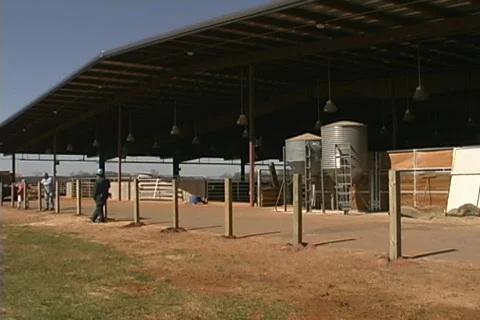 Agricultural construction site Stock Footage 436628