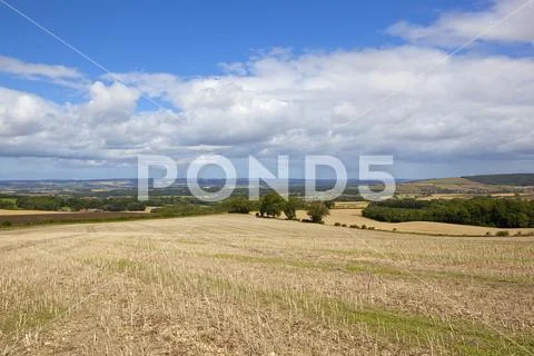 Agricultural countryside vista Stock Photos