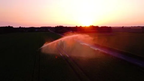 Agricultural crop irrigation system working into the evening sunset Stock Footage 175489831