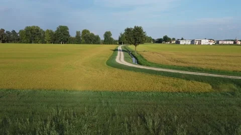 Agricultural crops 스톡 동영상 206447852
