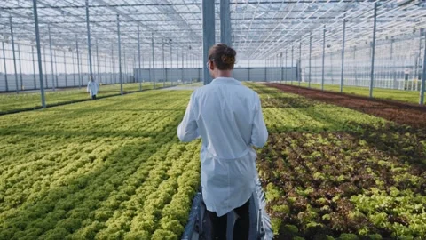 Agricultural developer in lab coat using wireless tablet exploring organic Video stock 139723471