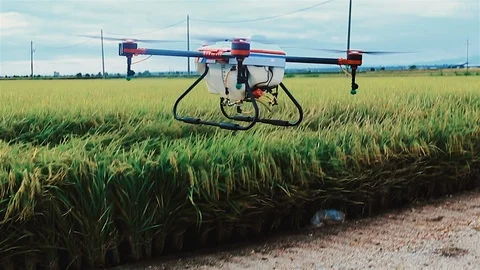Agricultural Drone Sprayer Stock Footage 117843906