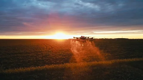 Agricultural drones fly into the sunset over the field and spray fertilizer view Stock Footage 246838108