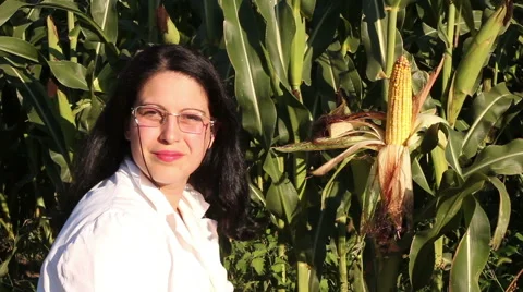 Agricultural Engineer Corn Field Confidence Stock Footage 41823614
