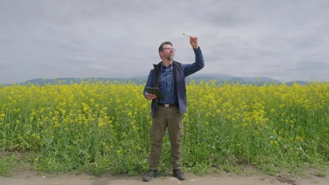 Agricultural engineer evaluating biofuel sample in test tube, rapeseed field 動画素材 336280083