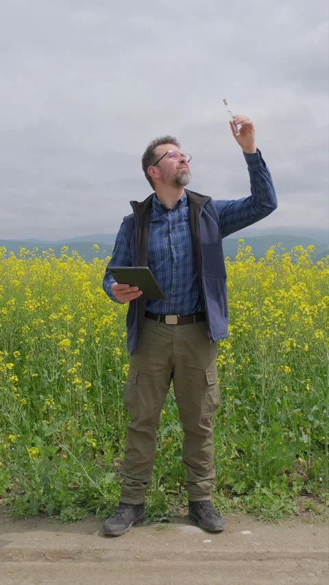 Agricultural engineer evaluating rapeseed oil sample for biofuel on tablet Stock Footage 336279993