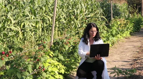Agricultural Engineer In The Field 2 Stock Footage 41750131
