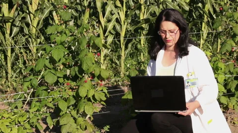 Agricultural Engineer In The Field 3 Stock Footage 41750720