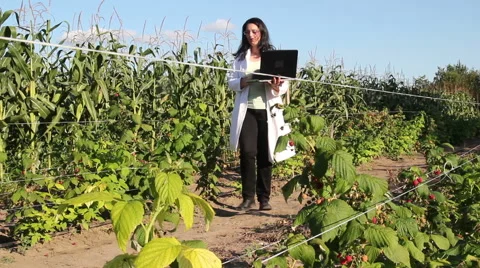 Agricultural Engineer In The Field 4 Stock Footage 41751774