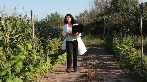 Agricultural Engineer In The Field 5 Stock Footage 41752731