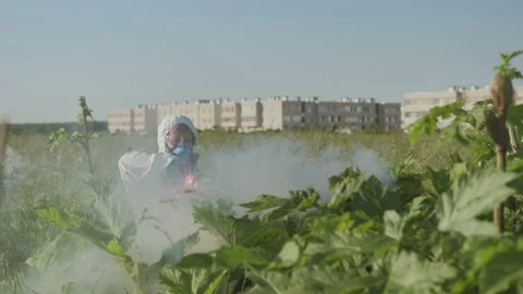 Agricultural engineer in protective suit and respirator herbicides with smoke Stock Footage 193452647