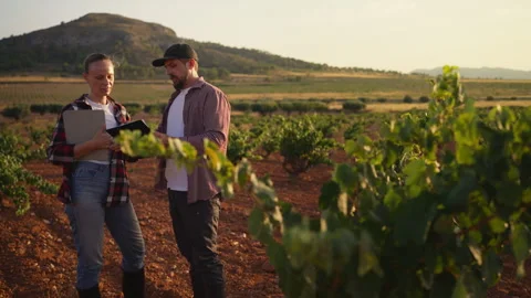 Agricultural entrepreneurs using digital technology to monitor field condit.. Stock Footage 341472338