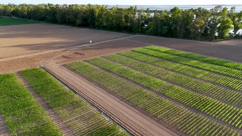 Agricultural experimental fields aerial view of crop plots Stock Footage 336024462