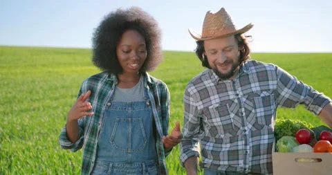 Agricultural expert workers examining vegetables while standing at the field Stock Footage 156418691