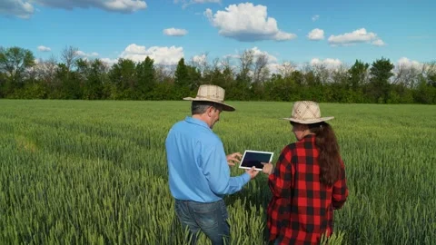 Agricultural experts at work, Tablet for crop analysis, Countryside technology Stock Footage 316074532