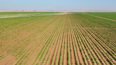 Agricultural field -  autonomous irrigation Stock Footage 293224683