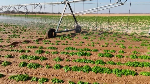 Agricultural field -  autonomous irrigation Stock Footage 293224712