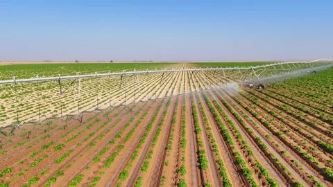 Agricultural field -  autonomous irrigation Stock Footage 293224728