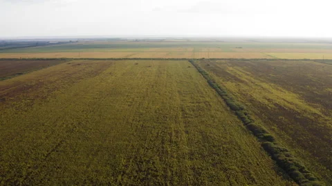 An agricultural field from a drone 動画素材 160347730