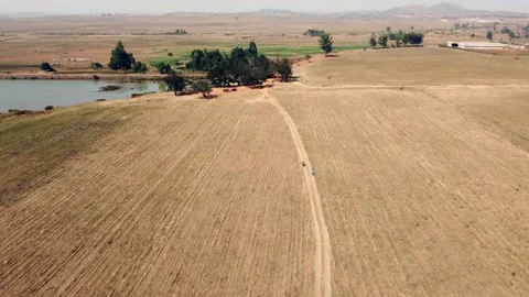 Agricultural field Stock Footage 166801014