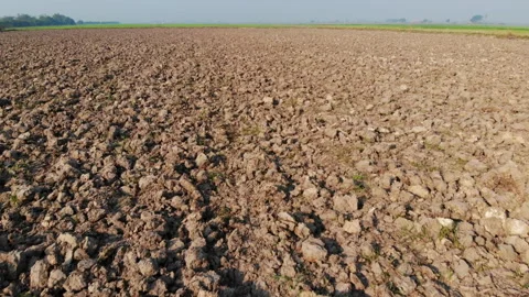 Agricultural field 스톡 동영상 274379099