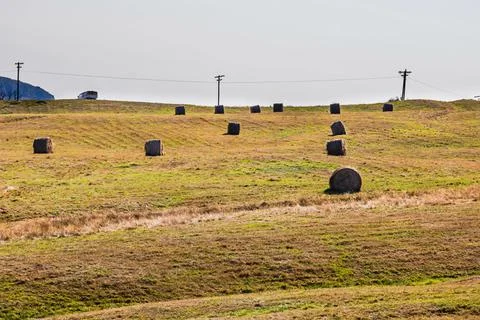 Agricultural field with haystacks, stack of round hay balls Stock-Fotos