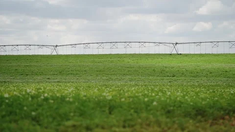Agricultural field with irrigation system Stock Footage 319467150
