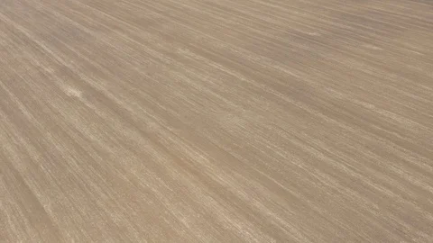Agricultural field plowed in parallel lines 4K drone video Stock Footage 110627278