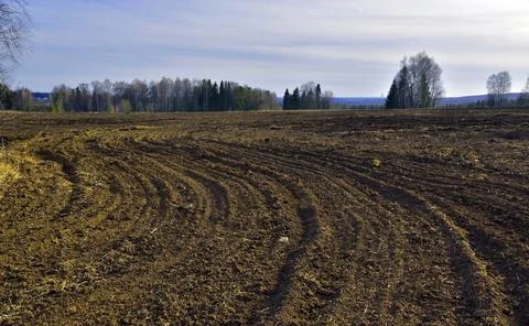 Agricultural field surrounded by bare spring trees. Spring in the foothills o Stock Photos