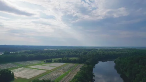 Agricultural fields from above on the Catawba River Stock Footage 278908644