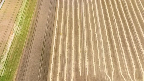 Agricultural fields - aerial view. Drone point of view 库存影片 199308448