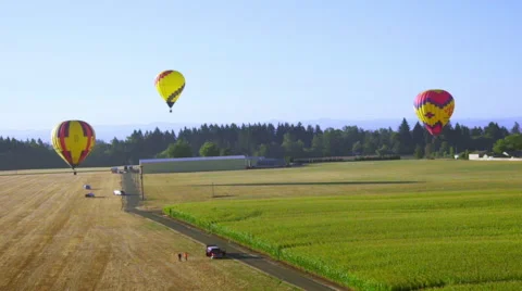 Agricultural fields and balloons Stock Footage 56689012