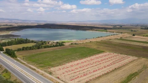 Agricultural Fields And Pond 스톡 동영상 334548901