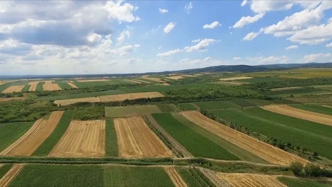 Agricultural fields, birds eye view Video stock 78953894