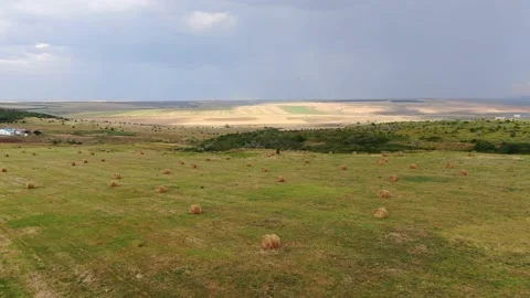 Agricultural fields from a bird's eye view, harvesting wheat with harvesters Stock Footage 160191774