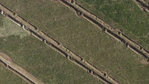 Agricultural Fields, Buttonwillow, California Drone Aerial View Stock Footage 145923924