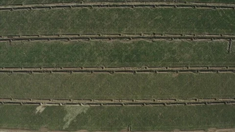 Agricultural Fields, Buttonwillow, California Drone Aerial View Stock Footage 145923969